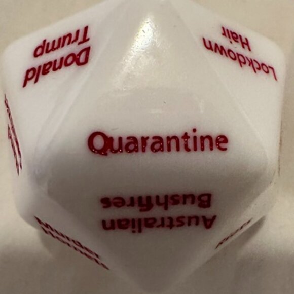 TTRPG Dice Bundle: Collapsible Tray, 2 Dice Bags, & Novelty D"2020" | Near New - Picture 1 of 9